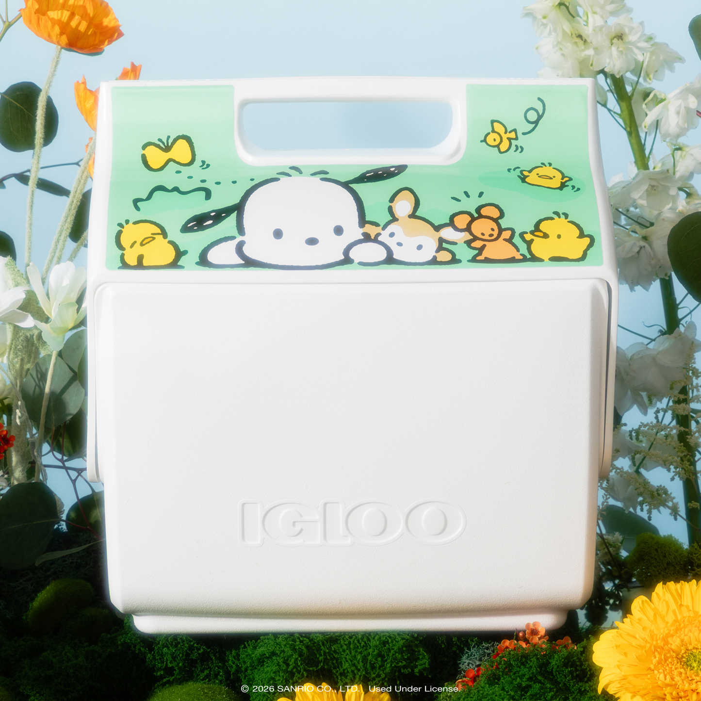 Pochacco x Igloo Little Playmate 7 Qt Cooler